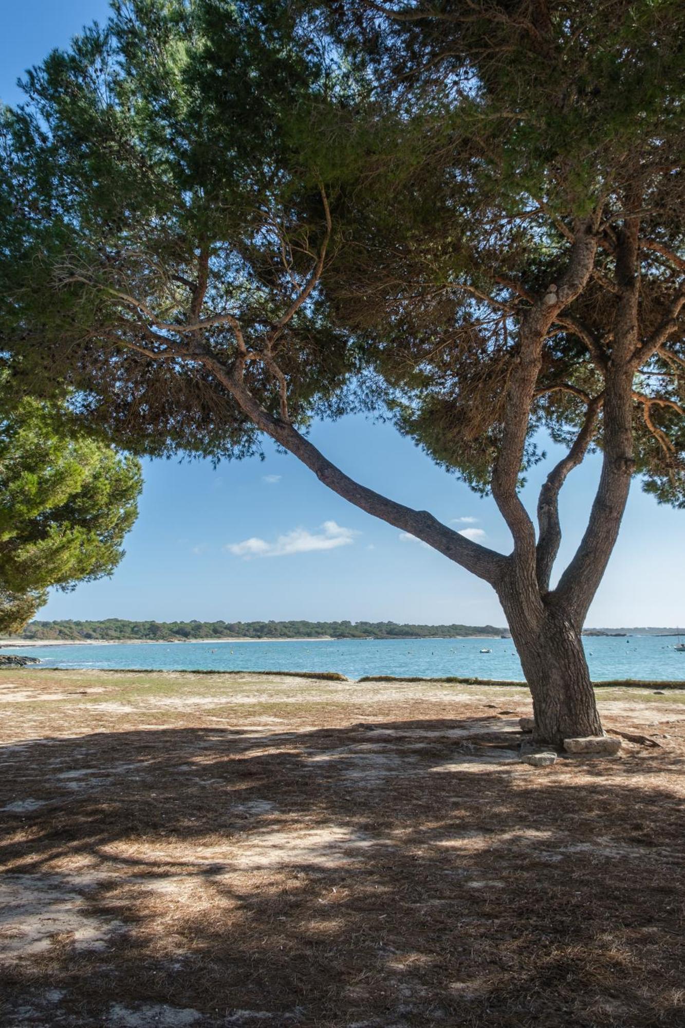 Alma Libre Beach Apartment Colonia de Sant Jordi Exterior foto